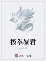 1∕2团长txt下载