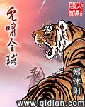 现世太子妃txt下载
