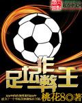 质子惑君txt下载