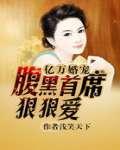 盛糖txt下载