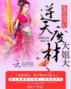 仕女攻略txt下载