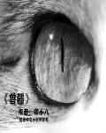 四分卫的小点心(H)txt下载